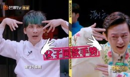 热点黑料在线免费观看 明星大侦探第二季,热点黑料在线免费观看，悬疑推理盛宴来袭！