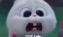 吃瓜爆料大事件真相 热门大瓜子,热门大瓜子的真相大起底