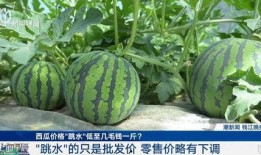 热门大瓜top10,揭秘娱乐圈风云变幻
